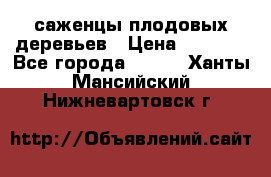 саженцы плодовых деревьев › Цена ­ 6 080 - Все города  »    . Ханты-Мансийский,Нижневартовск г.